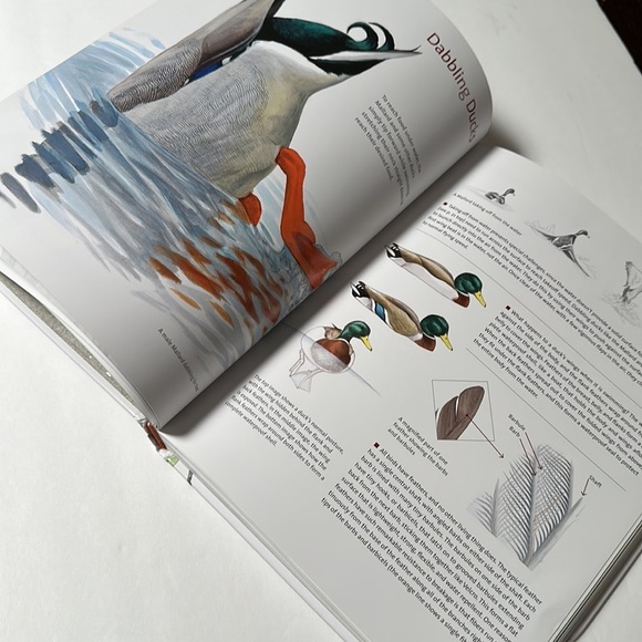 What It’s Like to Be a Bird hardcover book - Picture 5 of 8